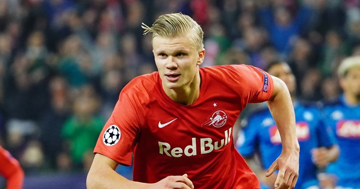 上海男篮23分大胜！淘汰香港金牛，张镇麟6分6篮板，弗格19分